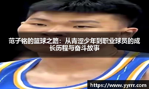678体育官方网站